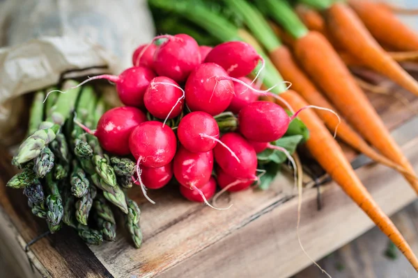 Ripe fresh radishes — Stock Photo, Image