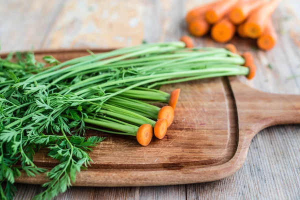 Bunches tops of carrots — Stock Photo, Image