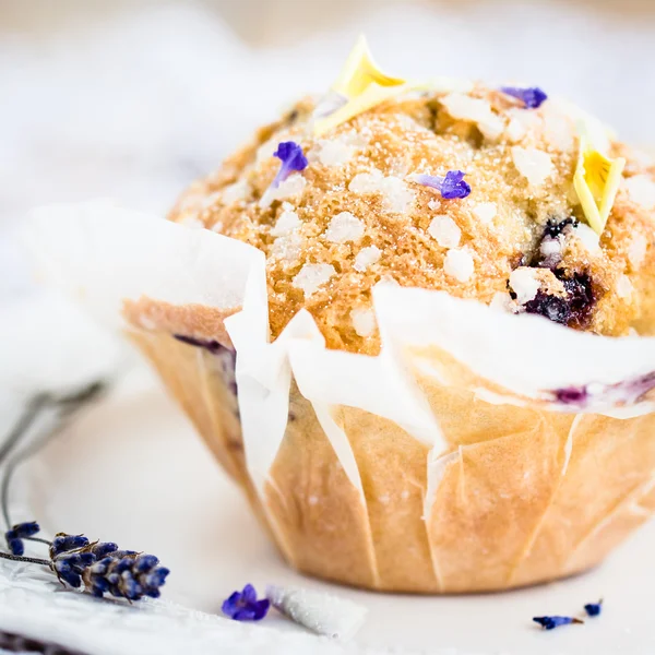 Homemade muffin with blueberries — Stock Photo, Image