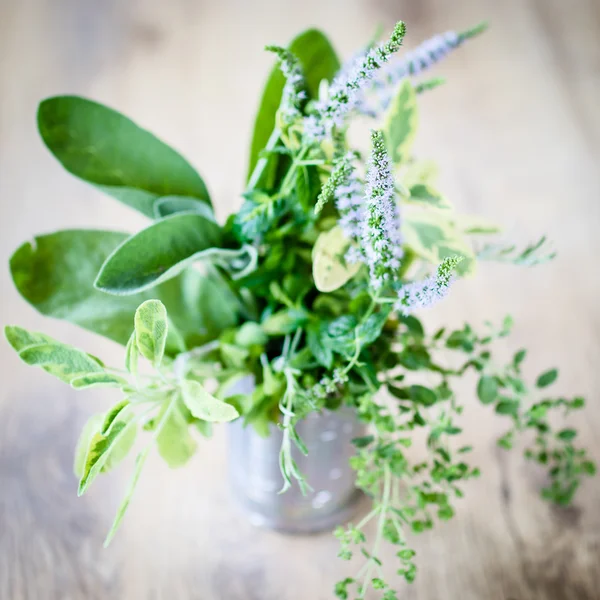 Herbes fraîches du jardin — Photo