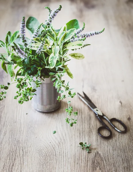 Herbes fraîches du jardin — Photo