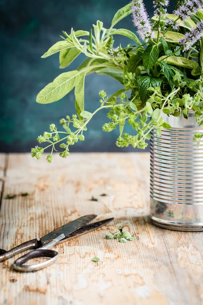 Herbes fraîches du jardin — Photo