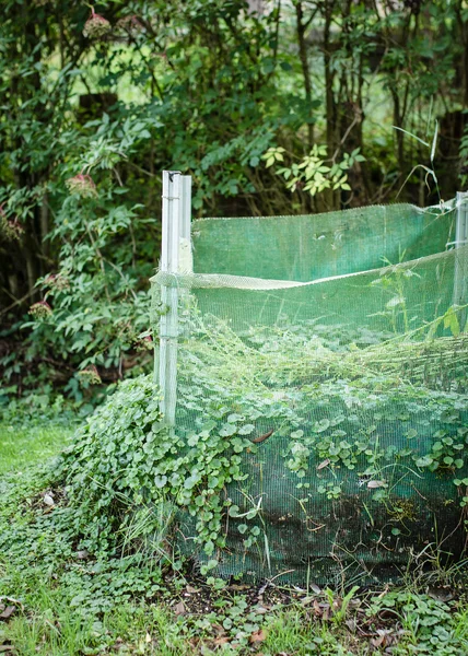 Green Compost Box Garden Sunny Day — Stock Photo, Image