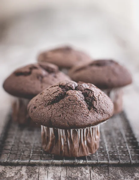 Lezzetli koyu çikolata muffins — Stok fotoğraf