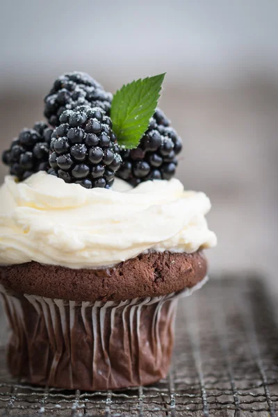 Cupcake de chocolate com amoras — Fotografia de Stock