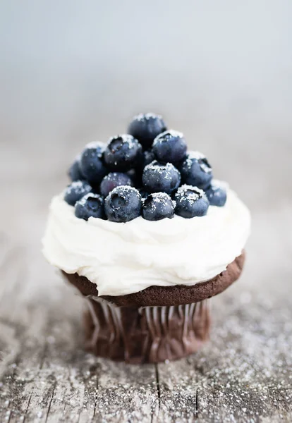 与蓝莓巧克力蛋糕 — 图库照片