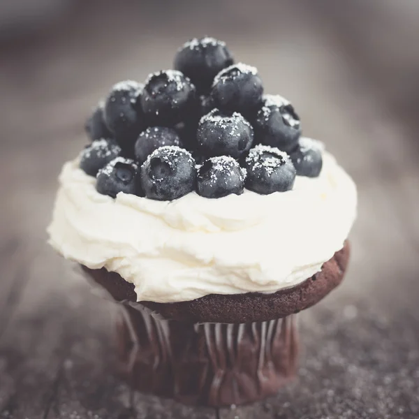 Chocolate cupcake with blueberries — Stock Photo, Image