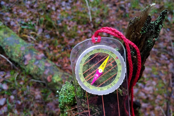 Magnetický Kompas Leží Lese Starém Kusu Dřeva — Stock fotografie