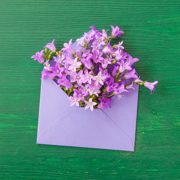 ดอกไม้สีม่วงที่มีซองจดหมาย — ภาพถ่ายสต็อก