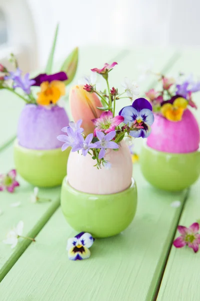 Frühlingsblumen in Ostereiern — Stockfoto