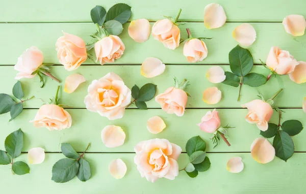Fresh pink roses — Stock Photo, Image