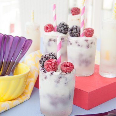 Ev yapımı yoğurt dondurma 