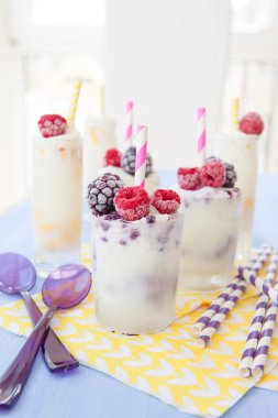 Ev yapımı yoğurt dondurma 