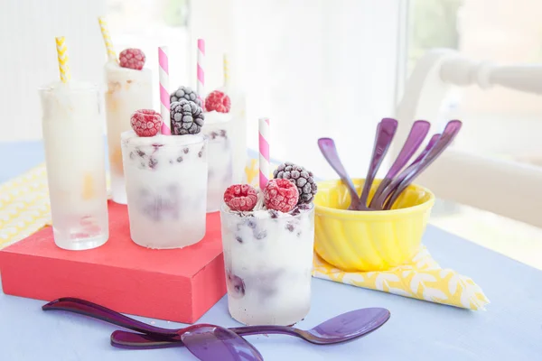 Domácí jogurt zmrzlina — Stock fotografie