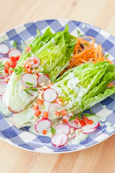 Salată proaspătă cu ridiche — Fotografie, imagine de stoc