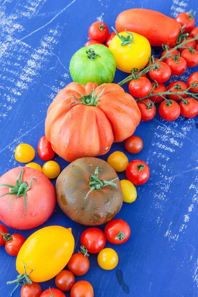 Variedade de tomates frescos — Fotografia de Stock