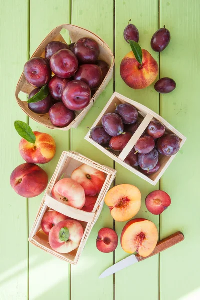 Odrůda z peckového ovoce — Stock fotografie
