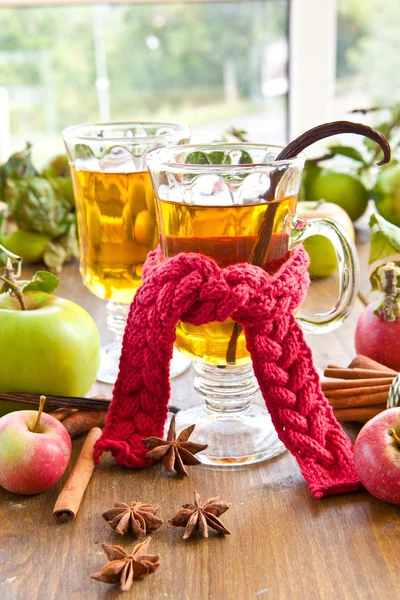 Heißer Apfelwein mit Gewürzen — Stockfoto