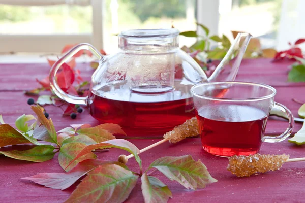 Tè caldo in autunno — Foto Stock