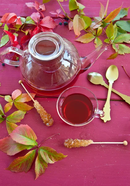 Hot tea in autumn — Stock Photo, Image