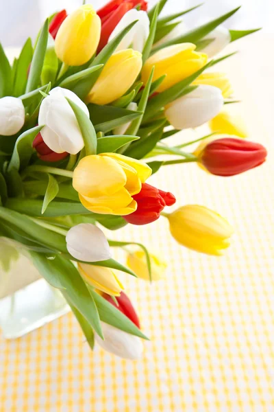 Fresh tulips for easter — Stock Photo, Image