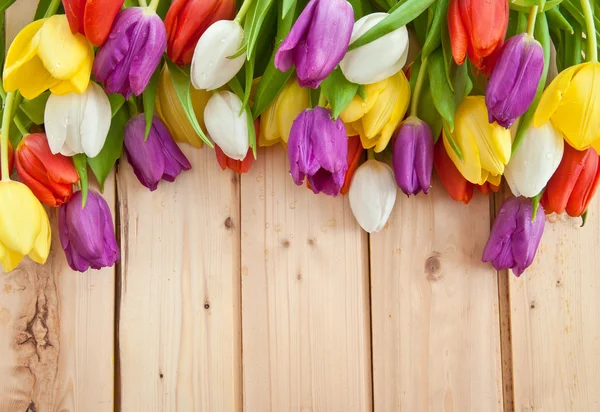 Fresh tulips on wooden background — Stock Photo, Image