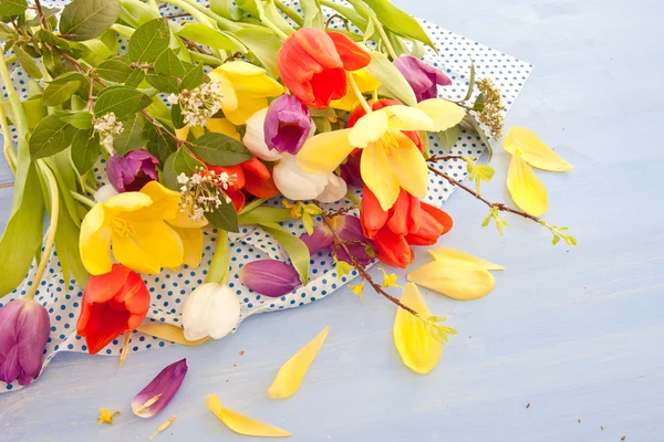 Verse tulpen op blauwe houten achtergrond — Stockfoto