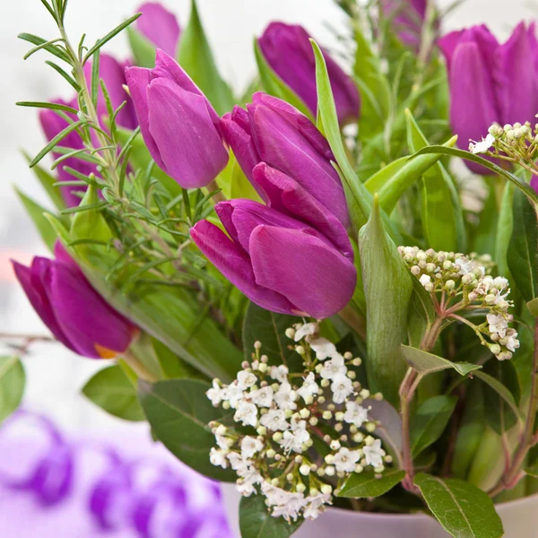 Tulipani viola freschi — Foto Stock