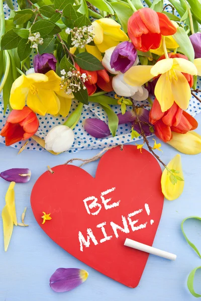 Spring flowers and vintage chalkboard — Stock Photo, Image