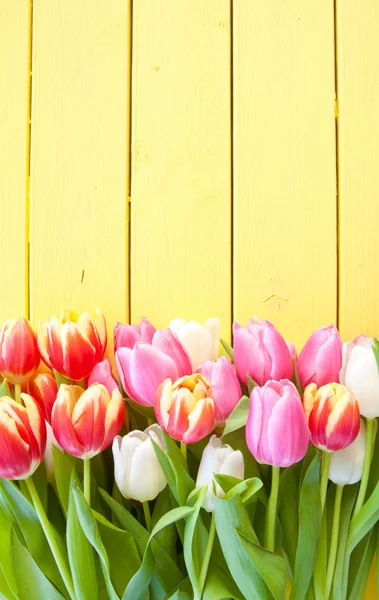 Fresh colorful spring flowers — Stock Photo, Image