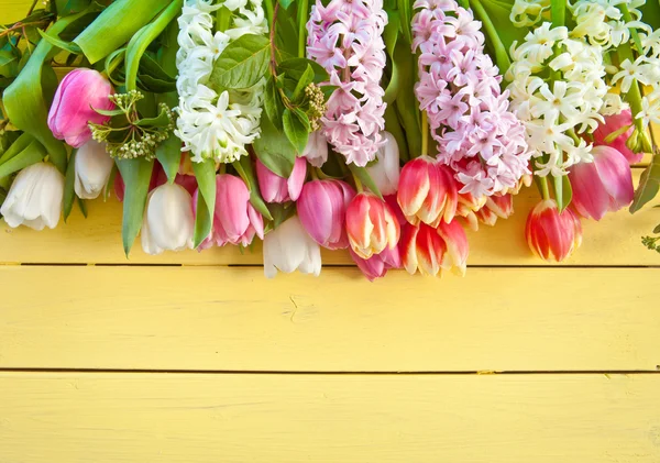 Verse kleurrijke Lentebloemen — Stockfoto