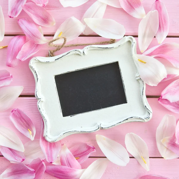 Fresh flower petals on pink — Stock Photo, Image