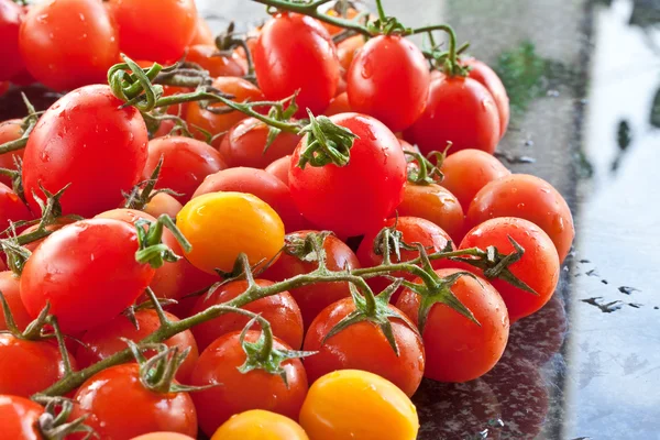 Kolorowe pomidory — Zdjęcie stockowe