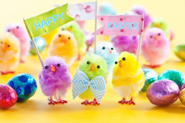 Colorful easter chicks clipart