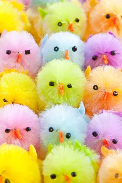 Coloridos polluelos de Pascua — Foto de Stock