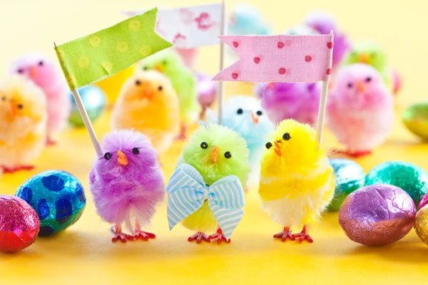 Colorful easter chicks — Stock Photo, Image