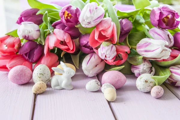Bunte Tulpen auf lila — Stockfoto