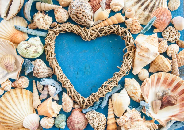 Fondo de madera envejecida con conchas marinas — Foto de Stock