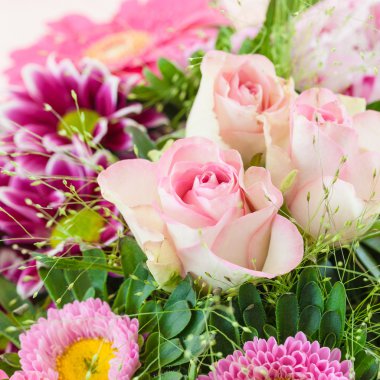 Renkli yaz çiçekleri