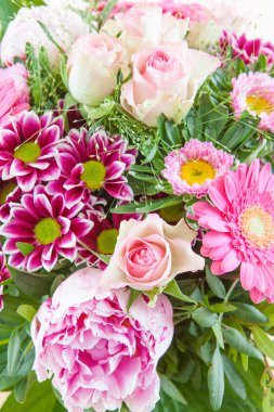 Renkli yaz çiçekleri