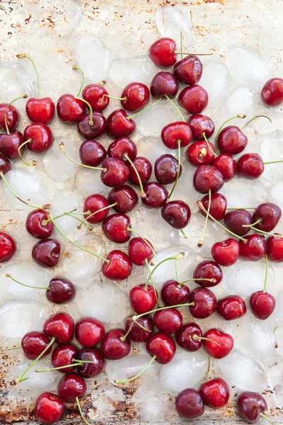 Fresh cherries on ice — Stock Photo, Image