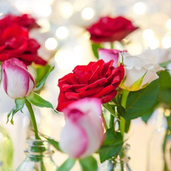 Fresh roses in front of little lights — Stock Photo, Image