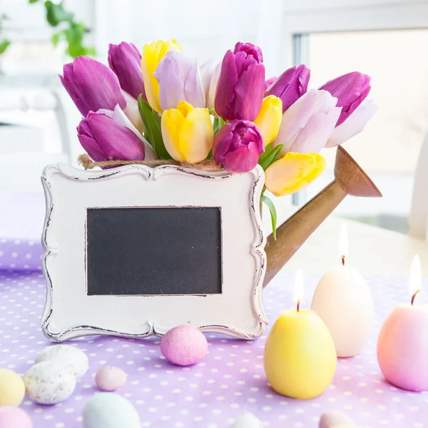 Fresh tulips on purple — Stock Photo, Image