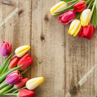 Fresh tulips on wooden background clipart