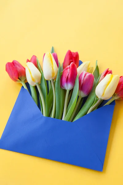 Kleurrijke bloemen in envelop — Stockfoto