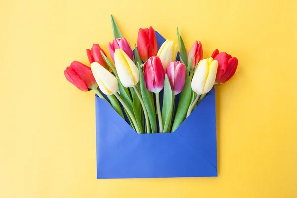 Bunte Blumen im Umschlag — Stockfoto