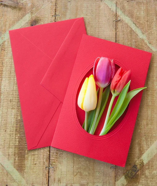 Fleurs colorées dans l'enveloppe — Photo