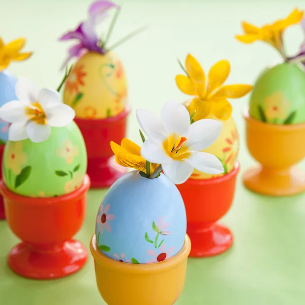 Crocus dans des œufs de Pâques peints — Photo
