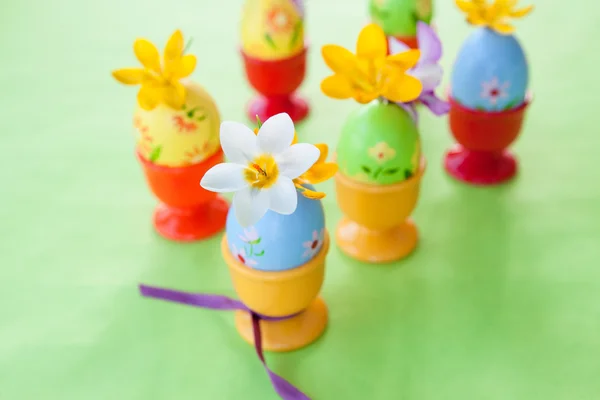 Crocus in painted easter eggs — Stock Photo, Image