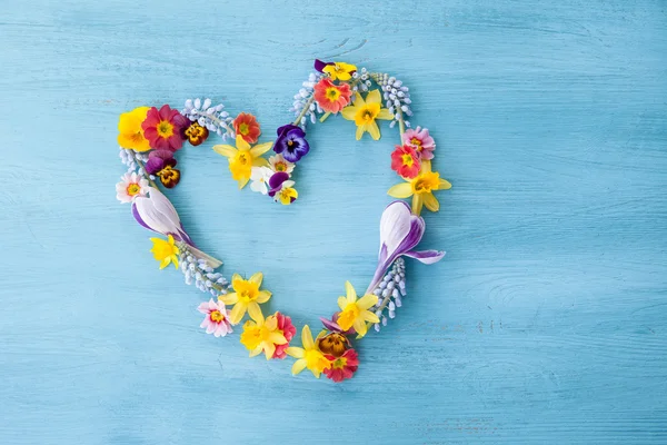 Spring flowers in a hearts shape — Stock Photo, Image